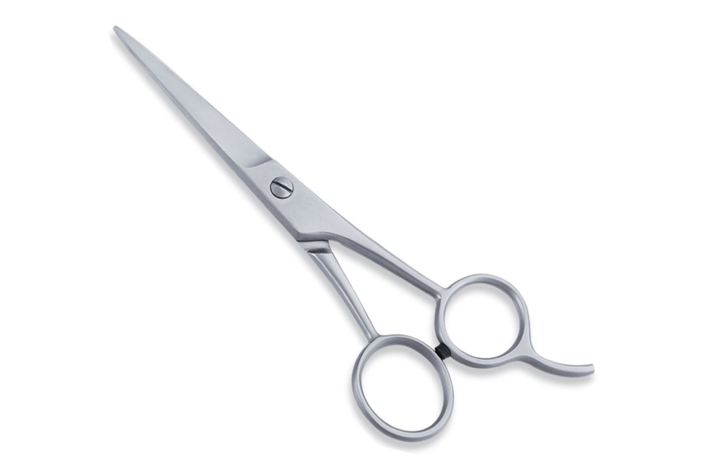 Economy Hair Scissors