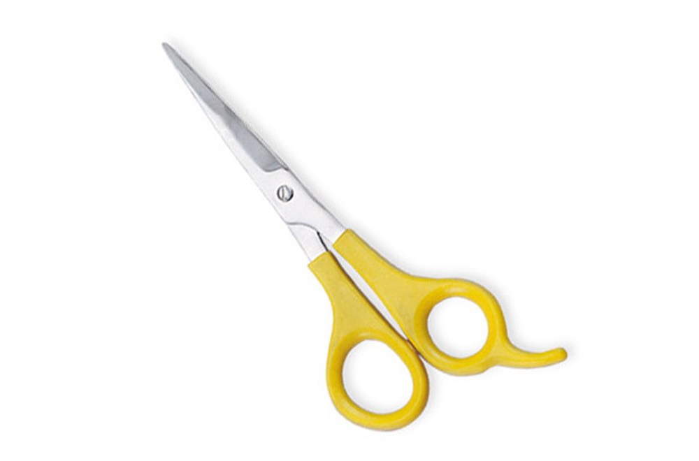 Economy Hair Scissors